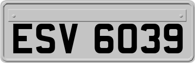 ESV6039