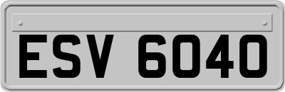 ESV6040