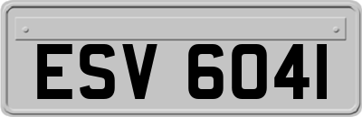 ESV6041