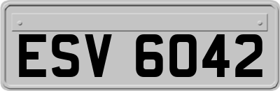 ESV6042