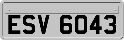 ESV6043