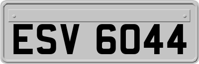 ESV6044