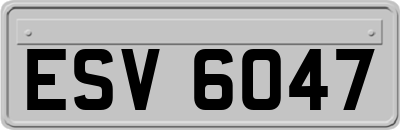 ESV6047