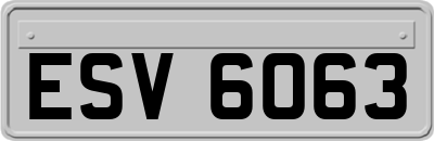 ESV6063
