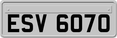 ESV6070