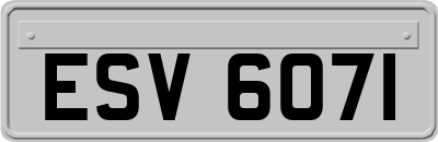 ESV6071