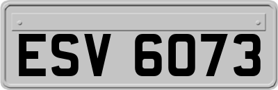 ESV6073