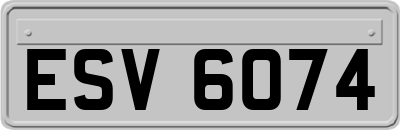 ESV6074