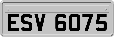 ESV6075