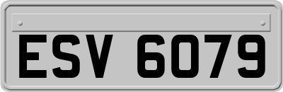 ESV6079