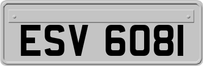 ESV6081
