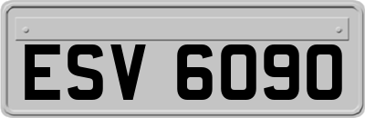 ESV6090