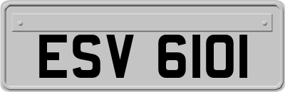 ESV6101