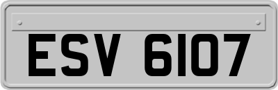 ESV6107