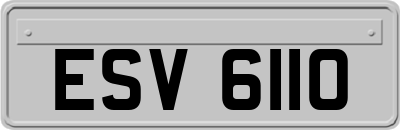 ESV6110