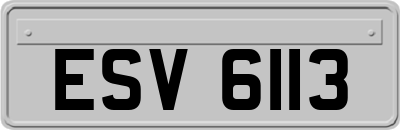 ESV6113