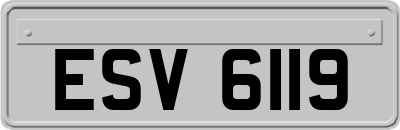 ESV6119