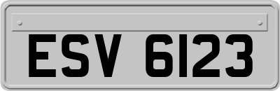 ESV6123