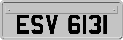 ESV6131