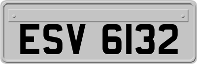 ESV6132