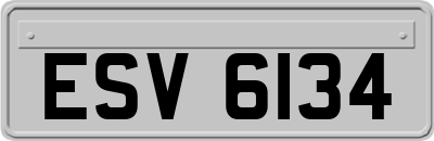 ESV6134