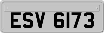 ESV6173
