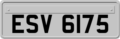 ESV6175
