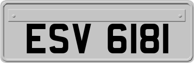 ESV6181