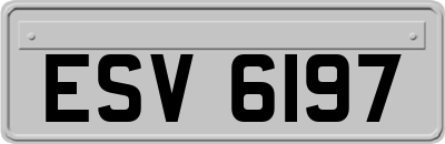 ESV6197