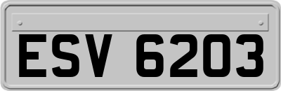 ESV6203