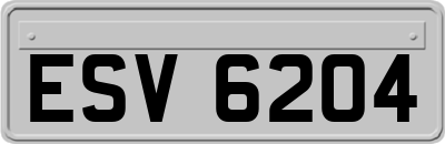 ESV6204