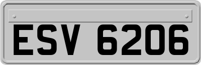 ESV6206