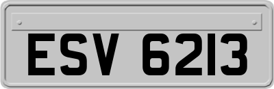 ESV6213