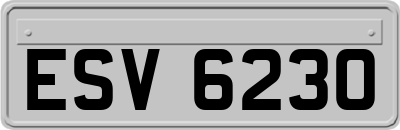 ESV6230