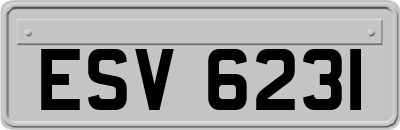 ESV6231