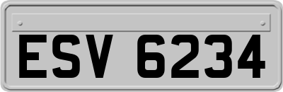 ESV6234