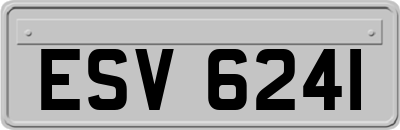 ESV6241