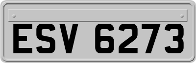 ESV6273