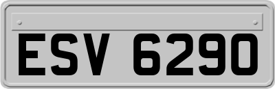 ESV6290