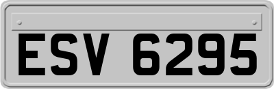 ESV6295