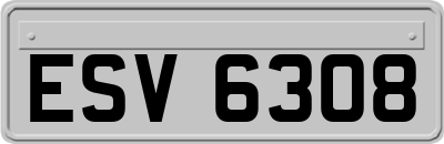 ESV6308