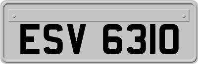 ESV6310