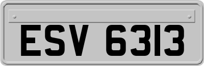 ESV6313