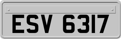 ESV6317