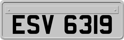 ESV6319