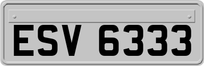 ESV6333