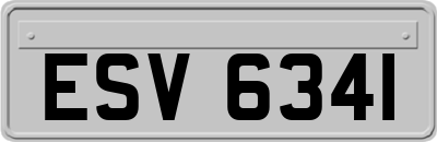 ESV6341