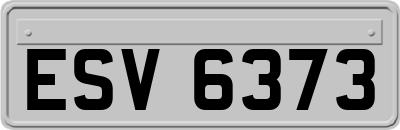 ESV6373