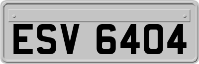ESV6404