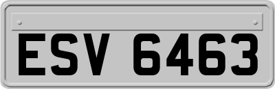 ESV6463